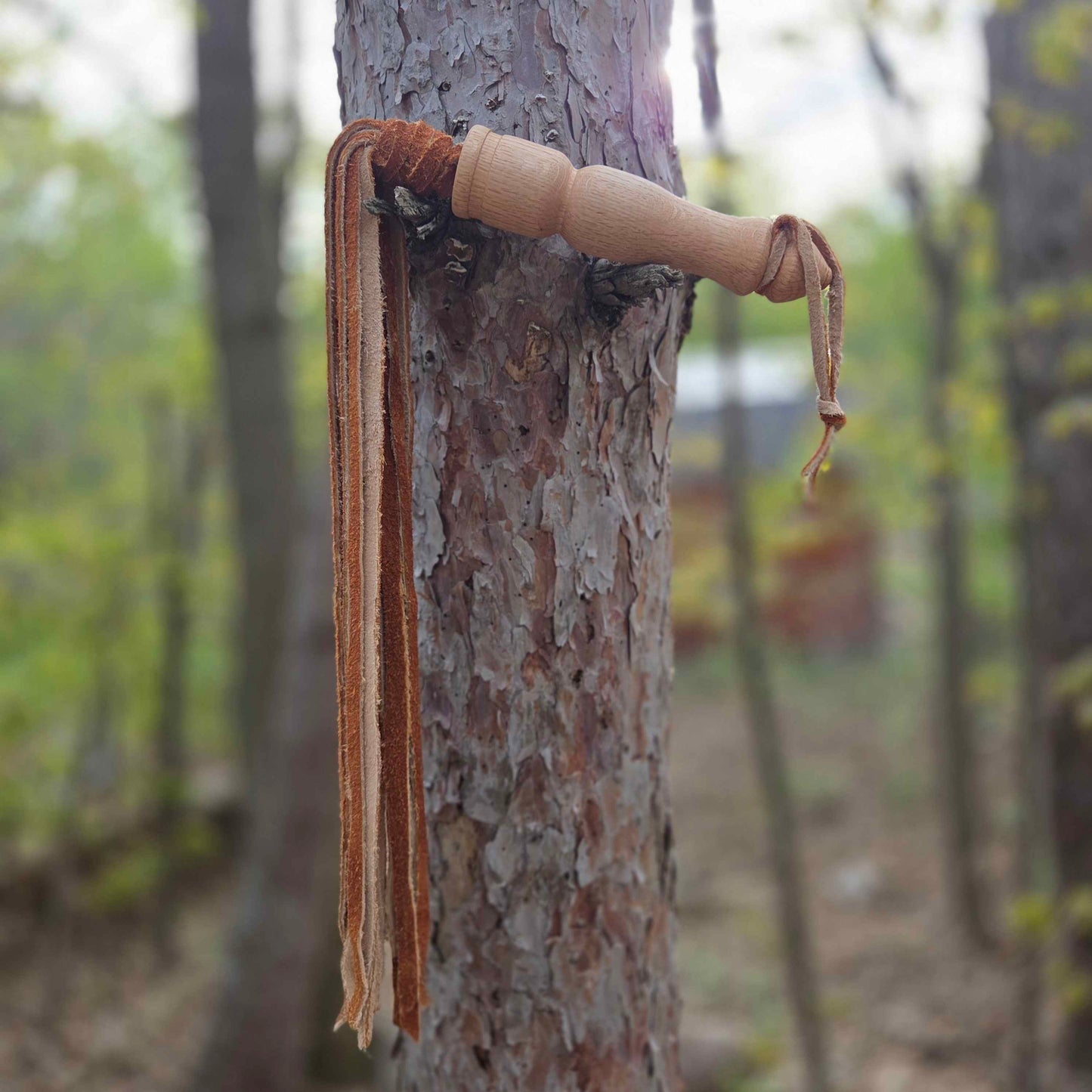 Bison Suede and Red Oak Flogger
